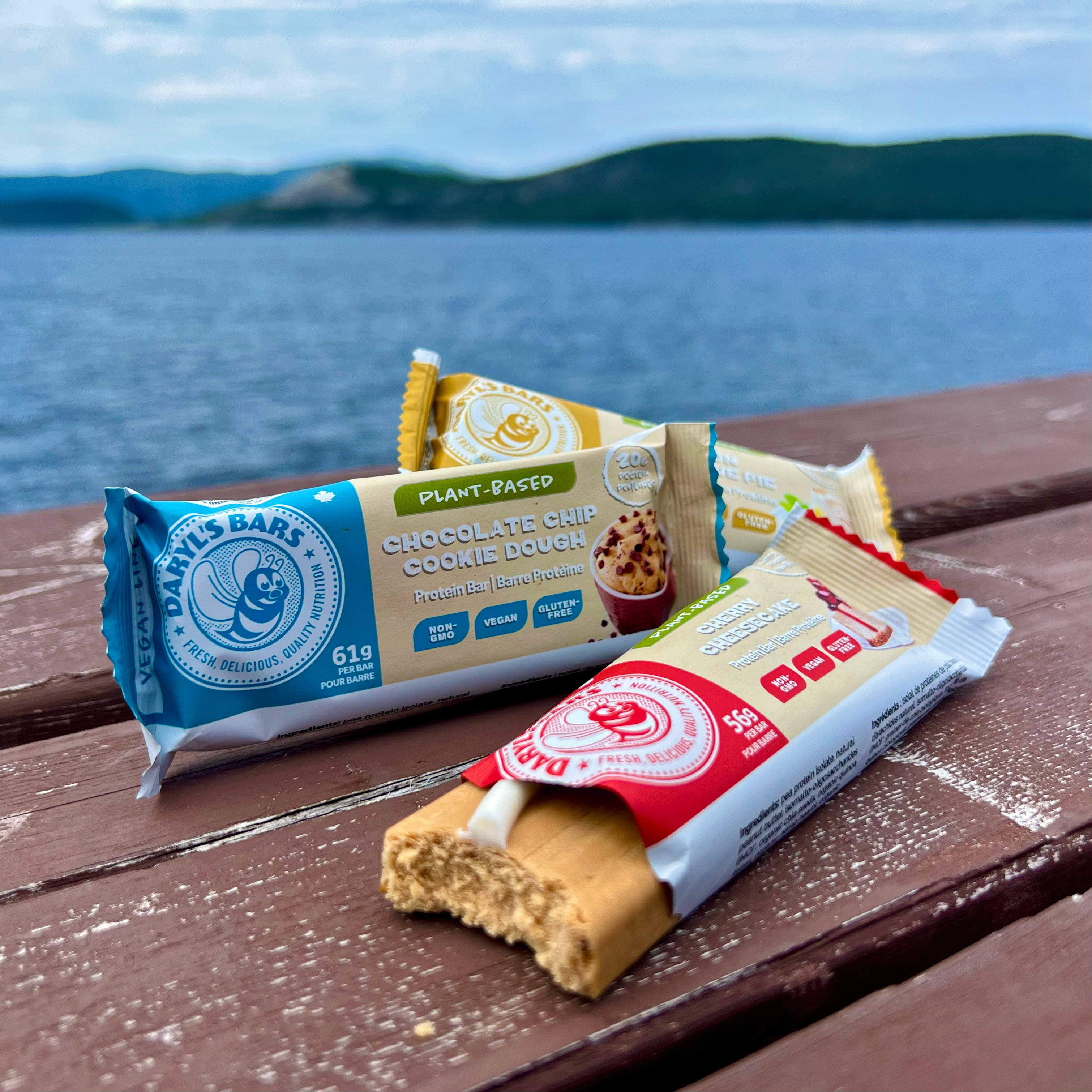 Vegan Protein Bar Line of Daryl's Bars